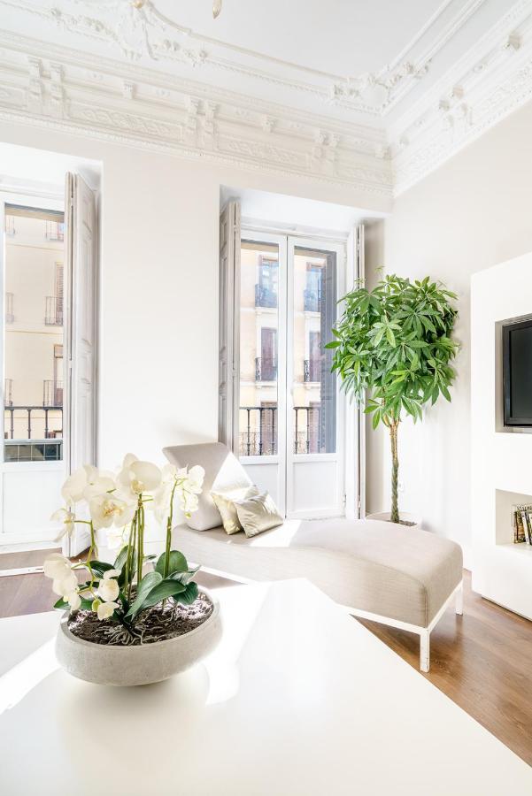 Apartamento Centro Madrid. Plaza Mayor. Puerta Del Sol. Opera. *